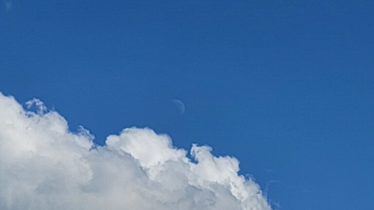 brrnch_Sep242023_1_resize