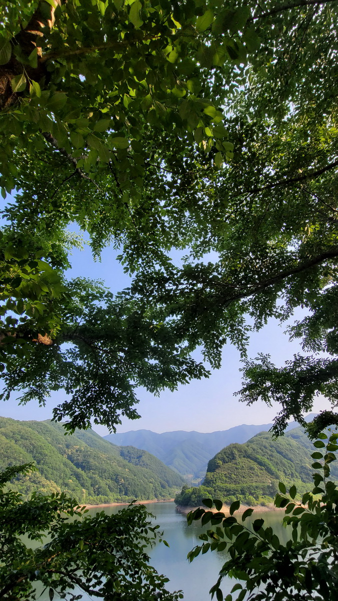 bruch_Jun192023_1_resize