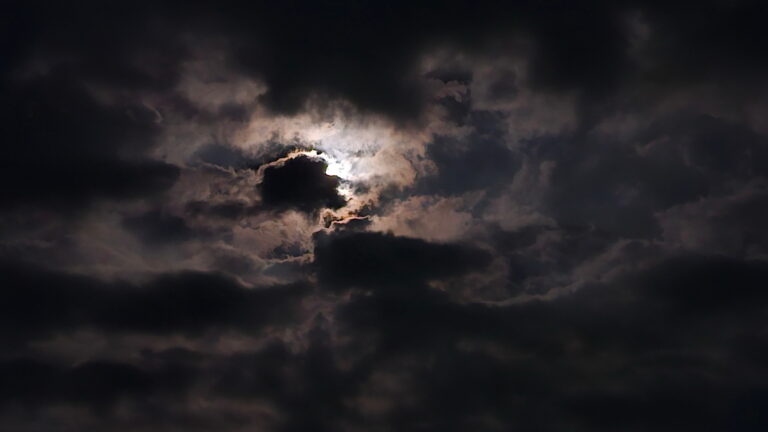 brunch_Aug202023_1_resize