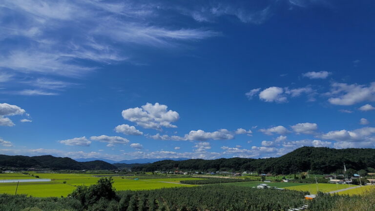 brunch_Sep232023_1_resize